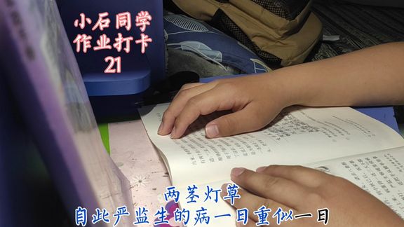 [图]小石同学《两茎灯草》预习