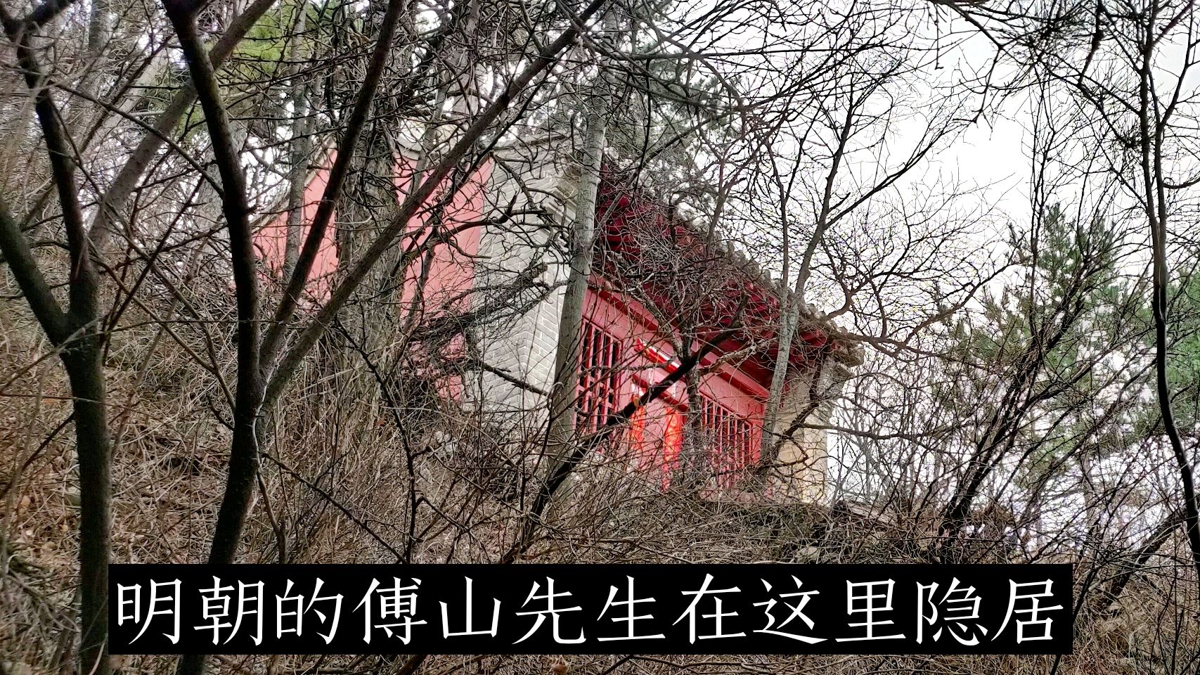 360影视 影视搜索