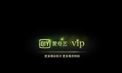 爱奇艺会员账号共享2015.9.19