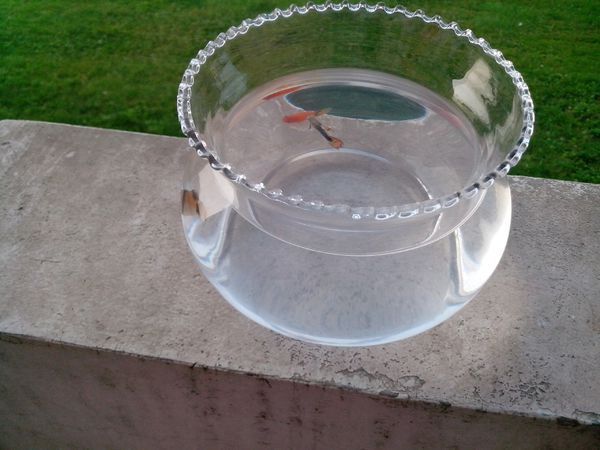 小鱼缸里放水草放鹅卵石