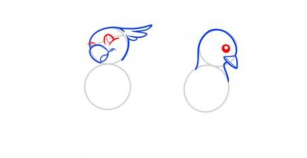 小鸟的眼睛怎么画好看图片
