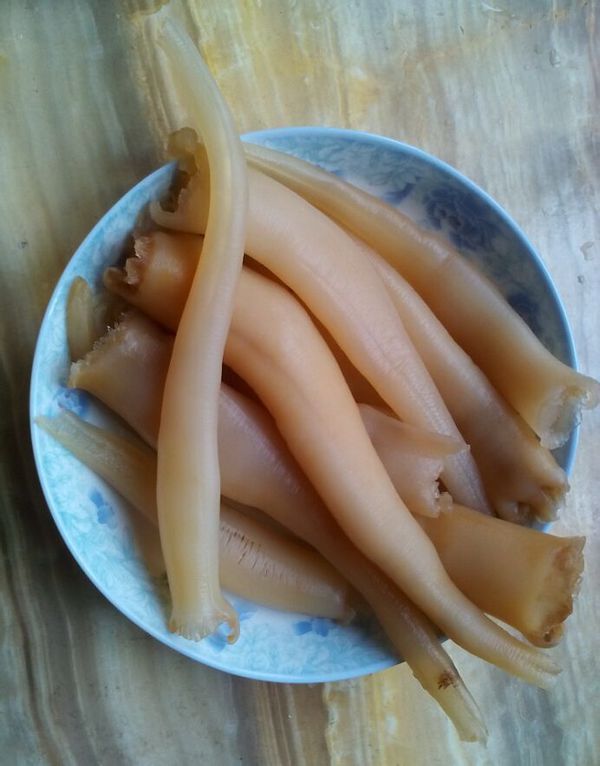 在市场买的,说是海笋,可是网上查海笋并不是这样的,倒有点像象拨蚌的