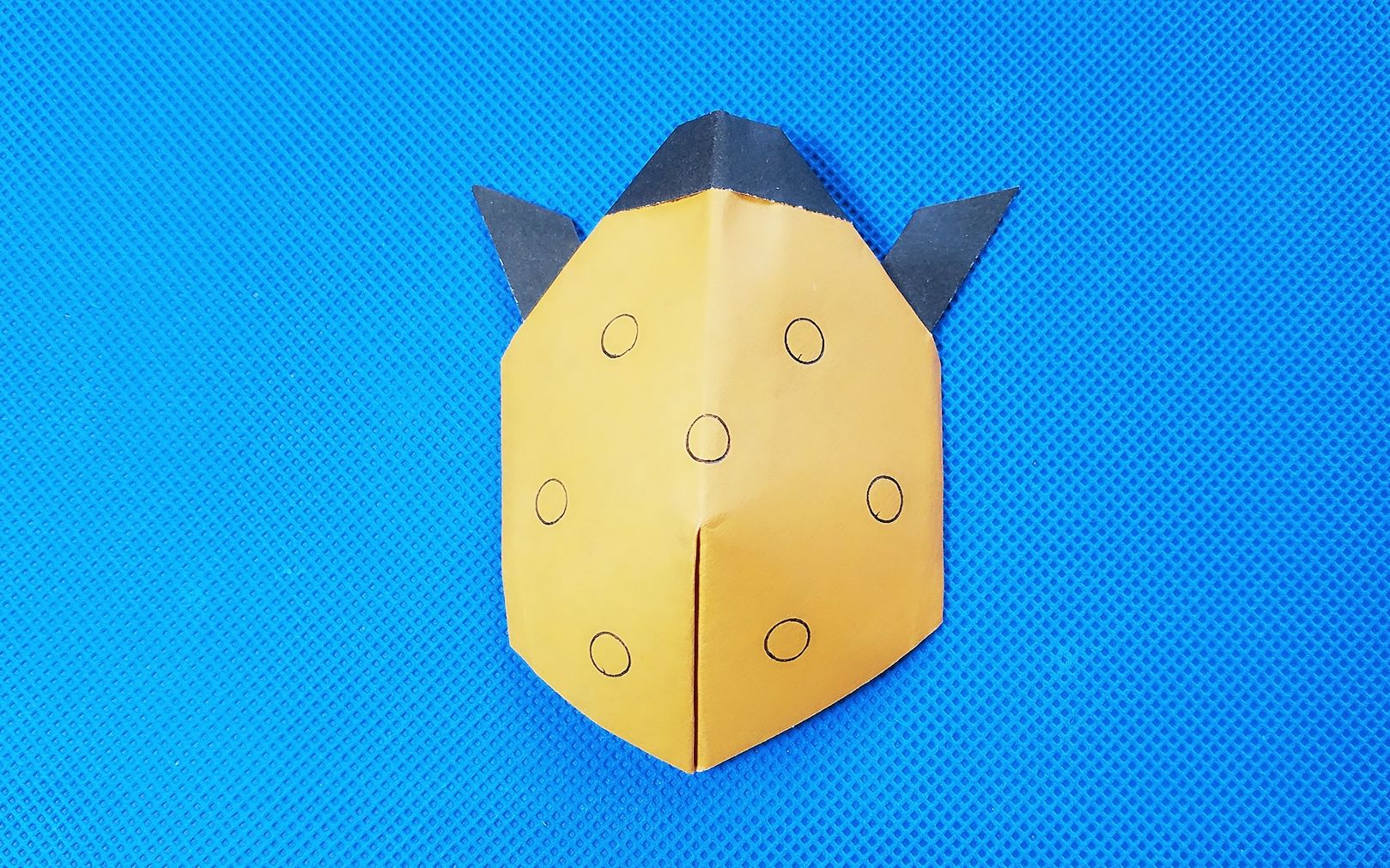 【折纸教程】折纸王子 瓢虫折纸大全教程讲解详细一看就会