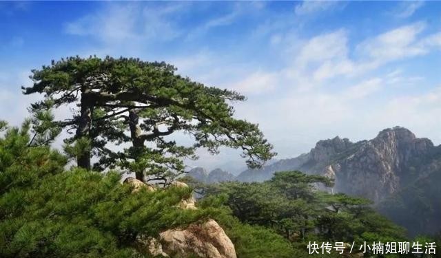 纪念币兑换时间限制