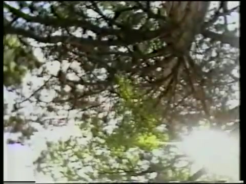 [图]【童年回忆】TVB儿歌金曲颁奖典礼歌曲回顾-1994