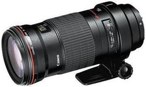 拍微距什么镜头好 腾龙90微距镜头拍人像