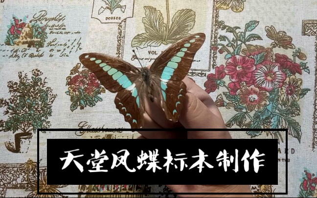 360影视 影视搜索