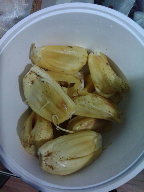 菠萝蜜里有一粒一粒的小黑点,这吃了没关系吧?_?