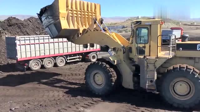 cat卡特 988f大型轮式 装载机现场装载卡车