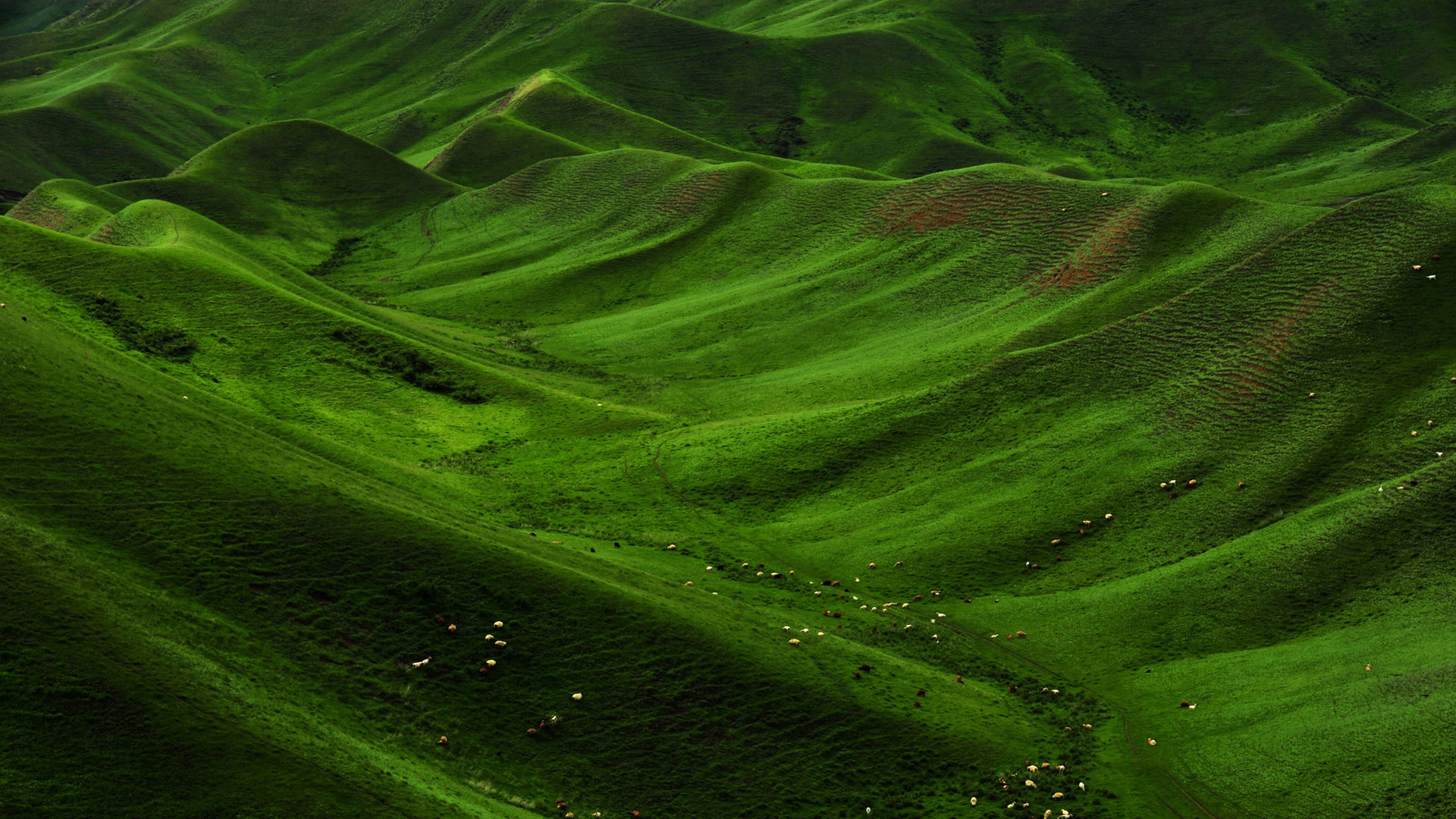 新疆天山山脉风景壁纸[图2]