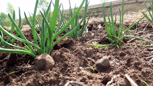 360影视-影视搜索