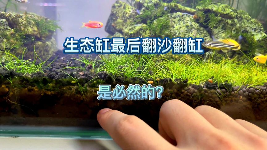 360影视 影视搜索