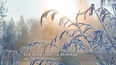 [图]史上最优美纯音乐班得瑞《Snowdreams》