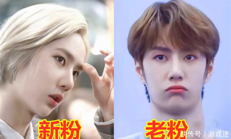 王俊凯pk王一博