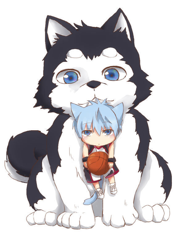 求一张黑子的篮球动漫壁纸 一只狗叼着一个人 这人手里还有一个篮球