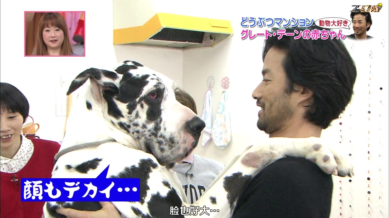 360影视 影视搜索