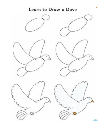 信鸽怎么画简笔画?