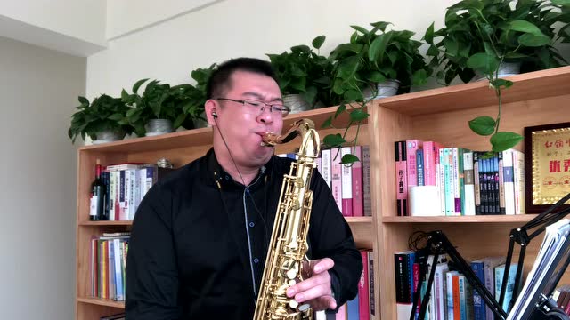 王晓楠萨克斯演奏草原歌曲《梦中的额吉》