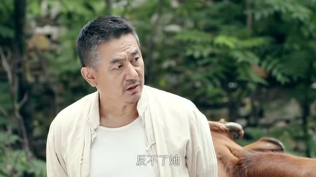 马向阳下乡记:二叔给族人讨说法,却被小媳妇说的没话说!