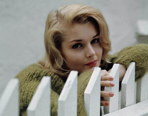 carol英文名寓意是什么?