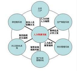 人力资源ta,er,c&b,oc&od啥意思