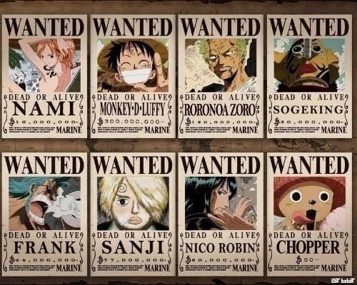 海盗来了通缉令怎么用 海盗来了通缉令用法