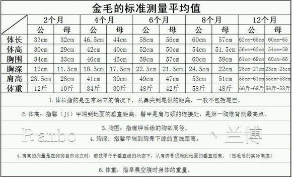 怎么给金毛量身高和肩高的