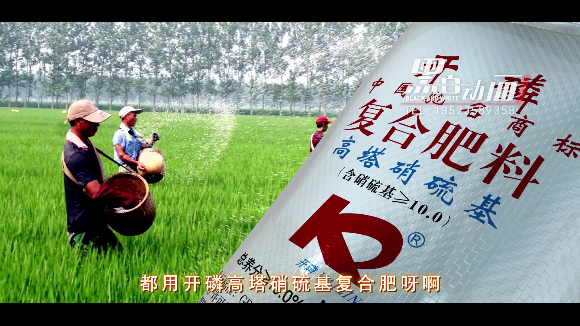 360影视-影视搜索
