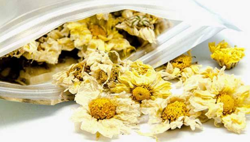 白菊花的功效与作用 360新知