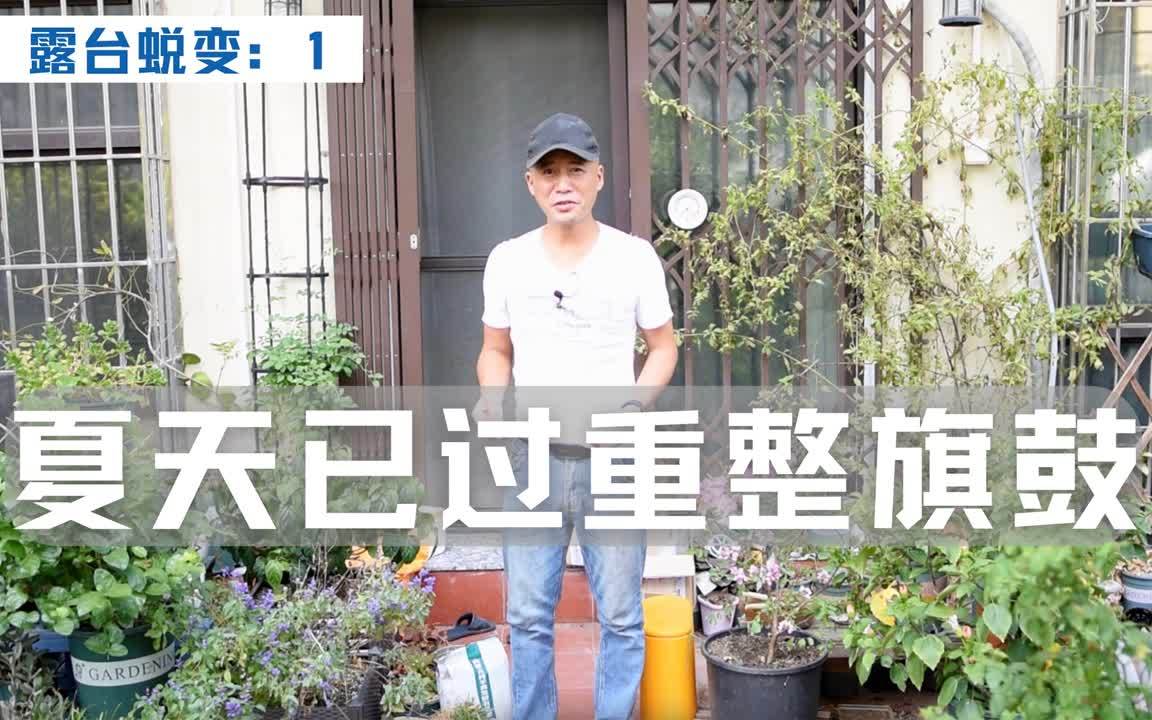 [图]露台蜕变(1):夏天已过重整旗鼓,为春天的花海做准备