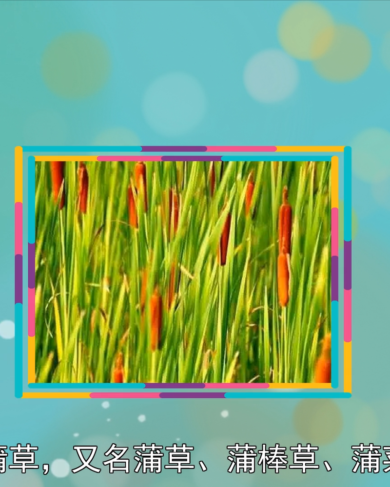 360影视 影视搜索 360影视 影视搜索