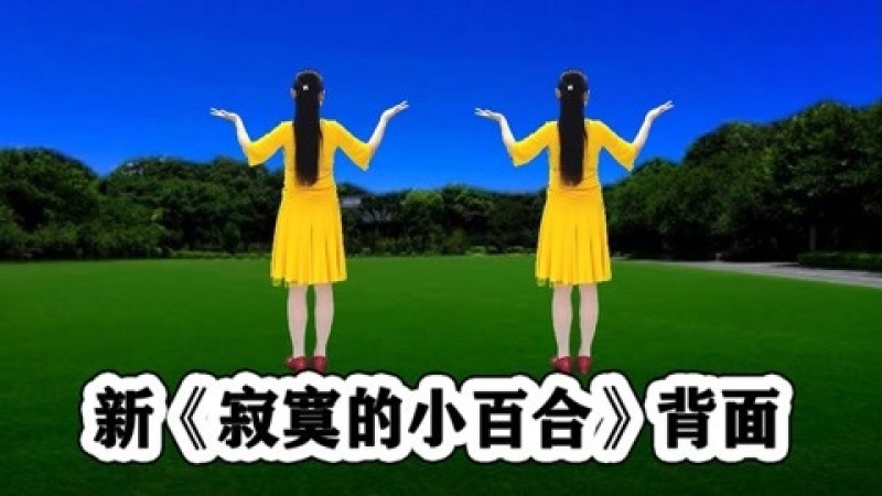 [图]DJ新改编精简版《寂寞的小百合》听歌学跳舒服洒脱