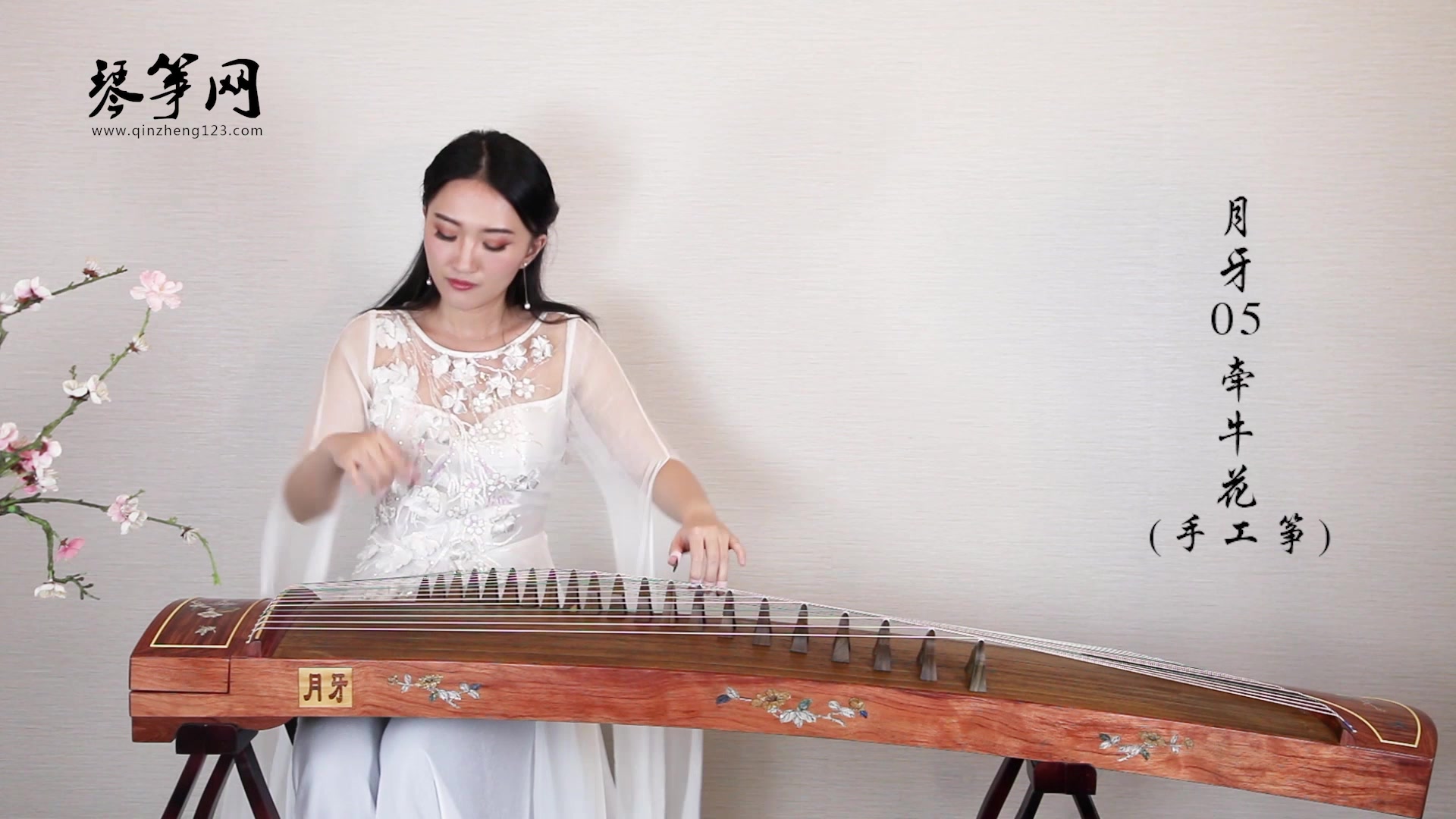 古筝名曲欣赏《逐梦令 古筝名 曲100首欣赏