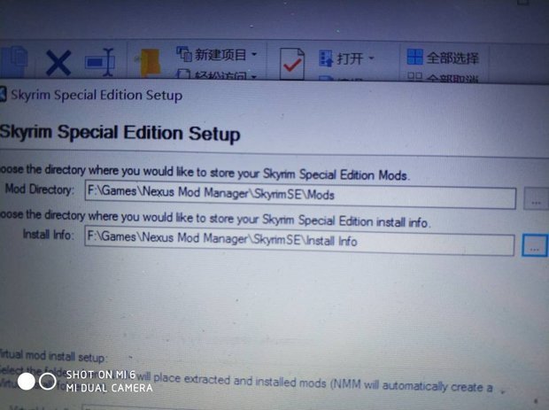 上古卷轴5mod管理器这两个什么意思