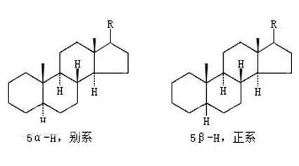 环戊烷多氢菲的介绍