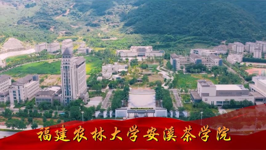 福建农林大学国际学院图片