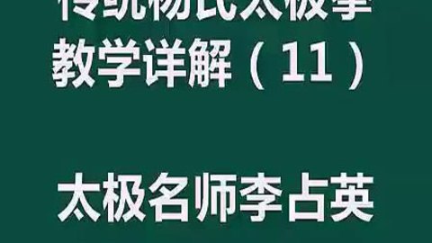 永年李占英 85式杨式太极拳教学 精品高清