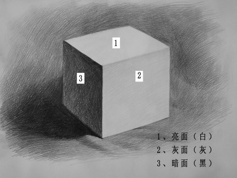 素描中的三大面五大调子是指什么?