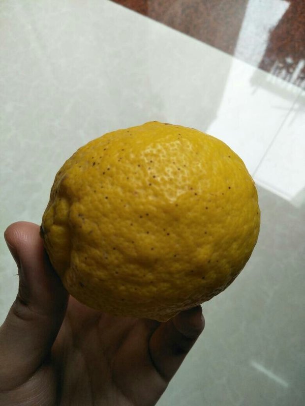 柠檬表面有黑点还能吃吗_360问答