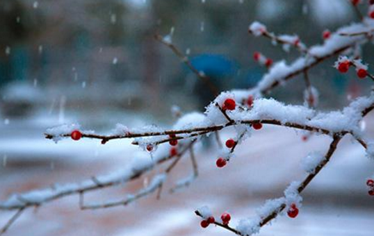 滴水成冰数九天.是什么意思?