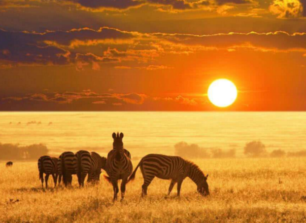 我国进口的产品有什么