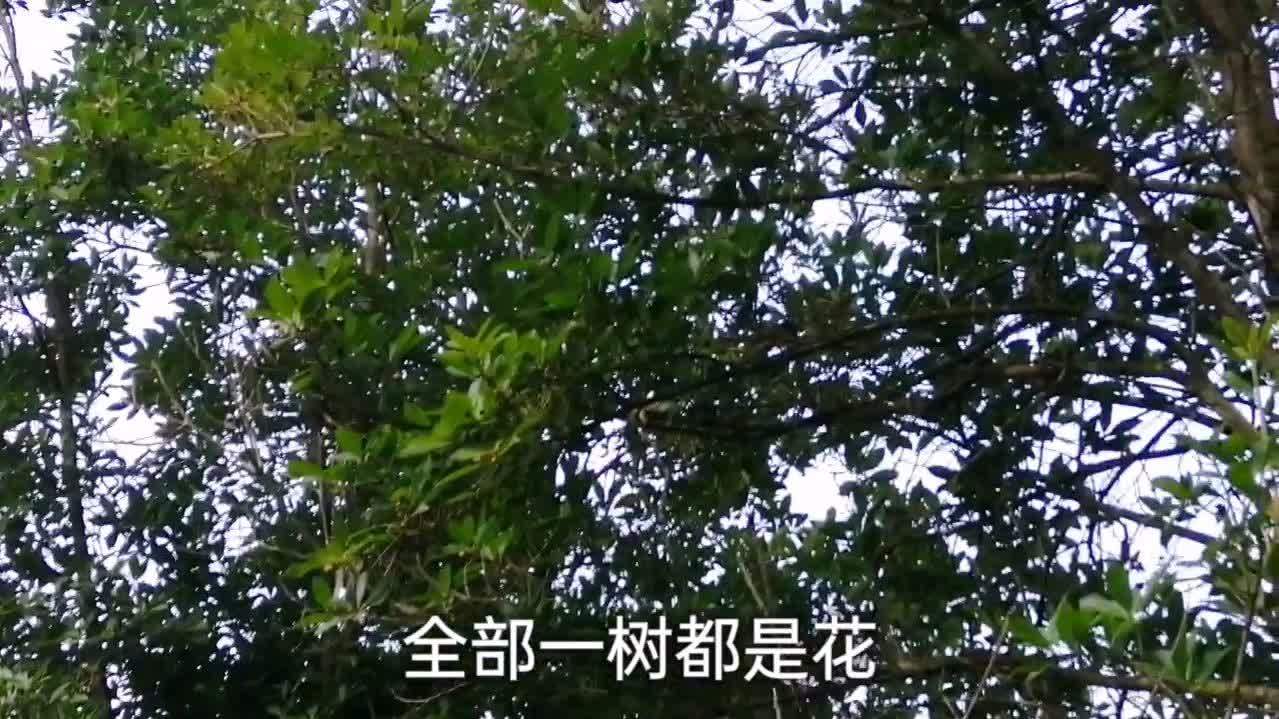 360影视 影视搜索 360影视 影视搜索