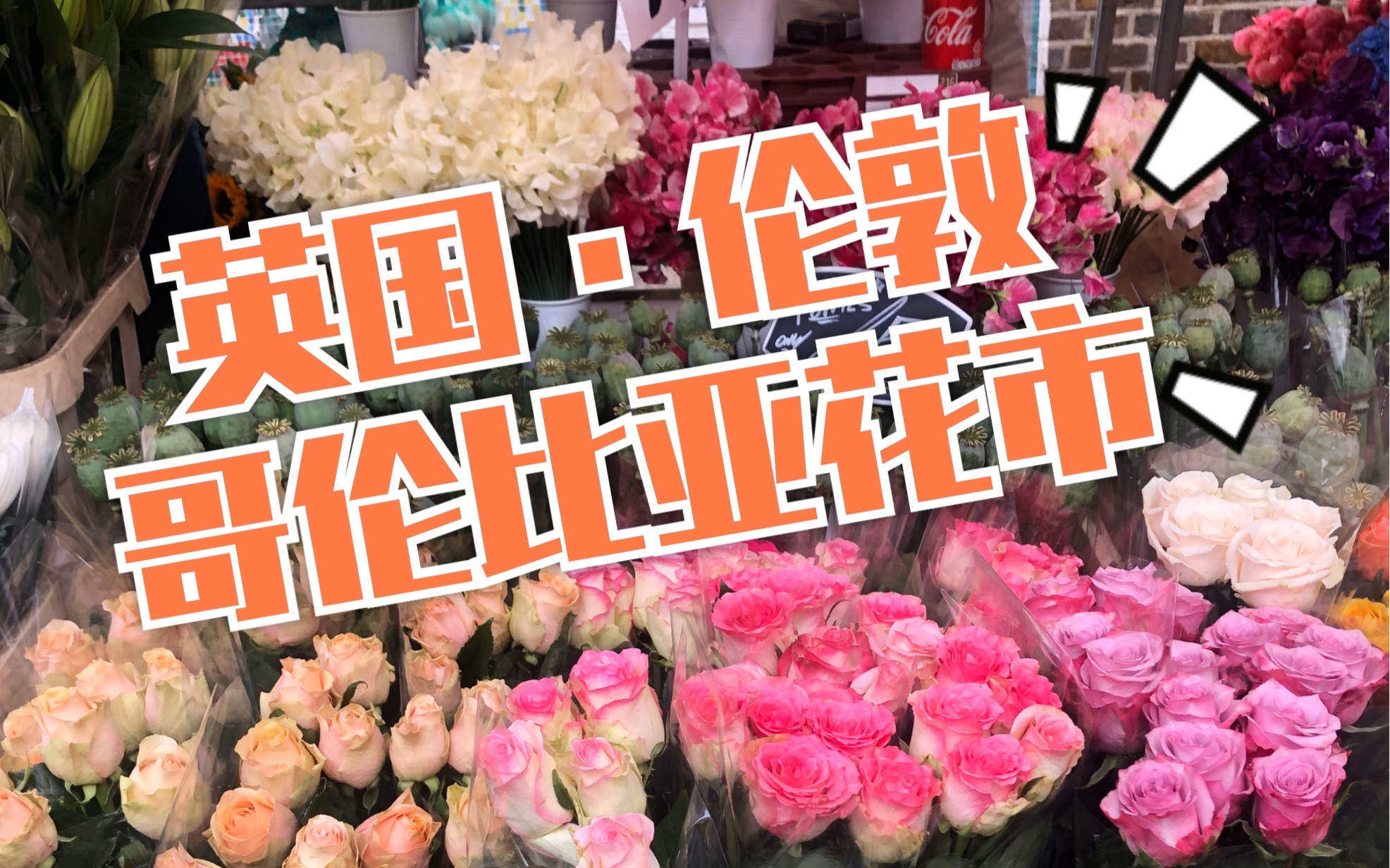 [图]【星星乔in英国】伦敦最大的哥伦比亚周末花市Columbia Flower Market