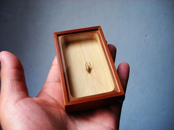 金蛉子 学名: 中文名: 小黄蛉蟋(苏州黄蛉) 向左转|向右转 俗名别名