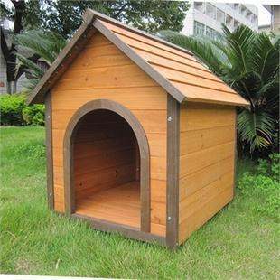 开小型犬舍需要注意什么?