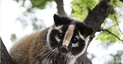 现在北京非典疫情