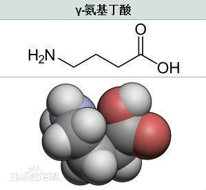 玩道gaba乳酸菌裡面的gaba是什麼意思?