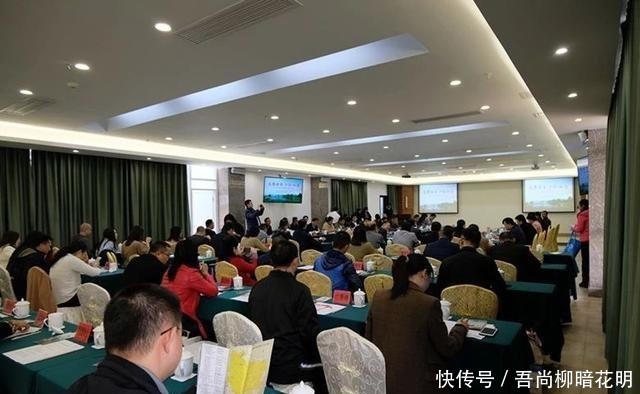 打造粤港澳大湾区有利于