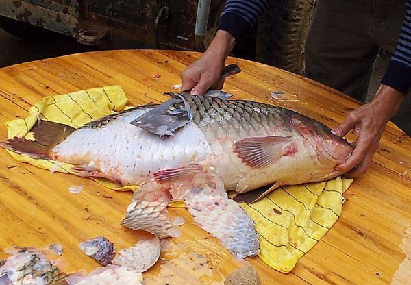 珍鱼的做法是什么?