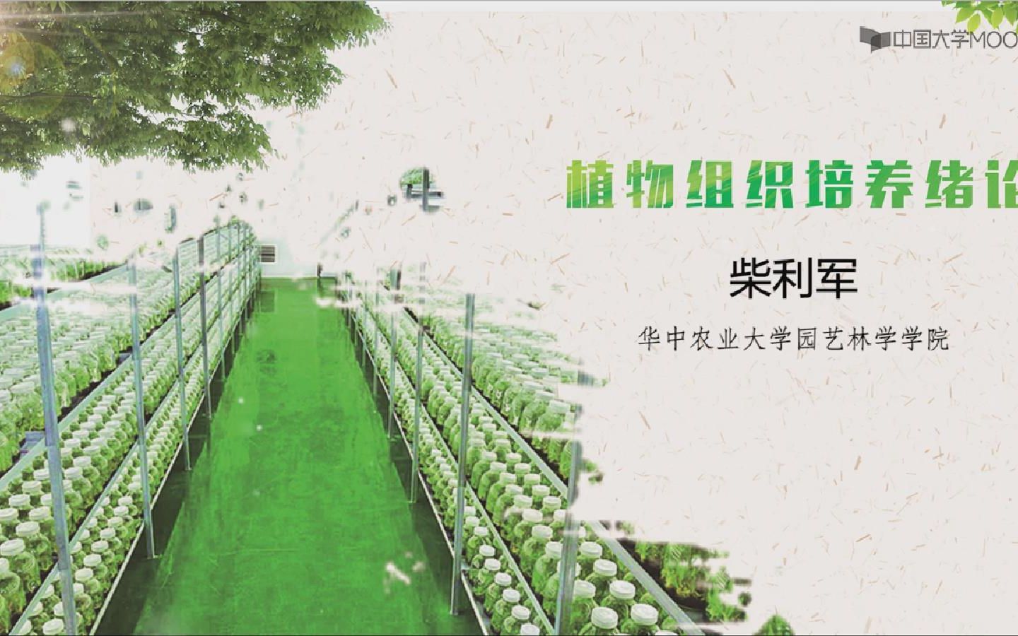 [图]植物组织培养_华中农业大学